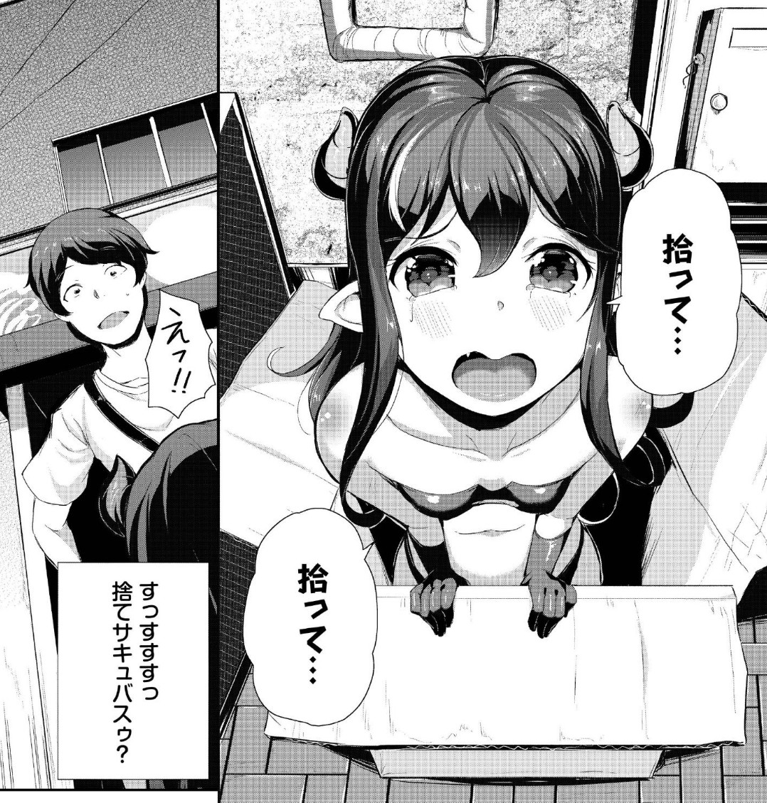 親から捨てられていた落ちこぼれサキュバスのへっぽこちゃん。子猫みたいでかわいいですね。